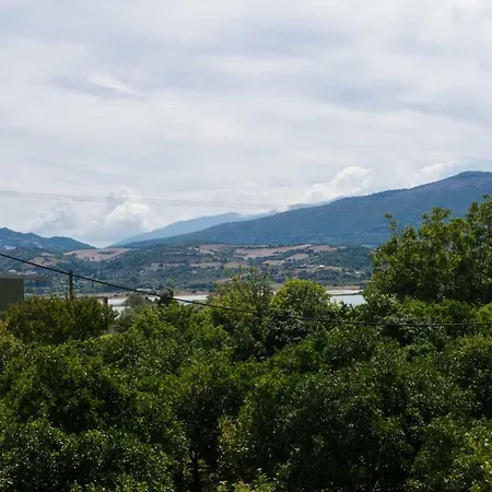 Magician's Kalligoni